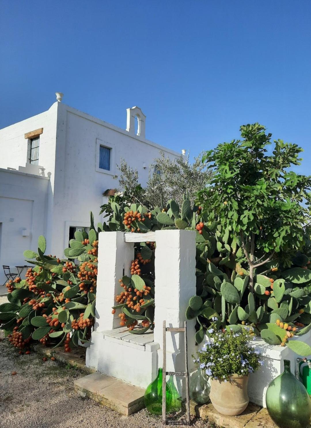 Masseria Fulcignano Galatone Buitenkant foto